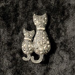 Adorable cat with kitten pin